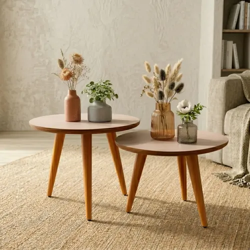 Conjunto 2 Mesas Centro Sala Madeira Decorativa Cores Cor Off White/freijó