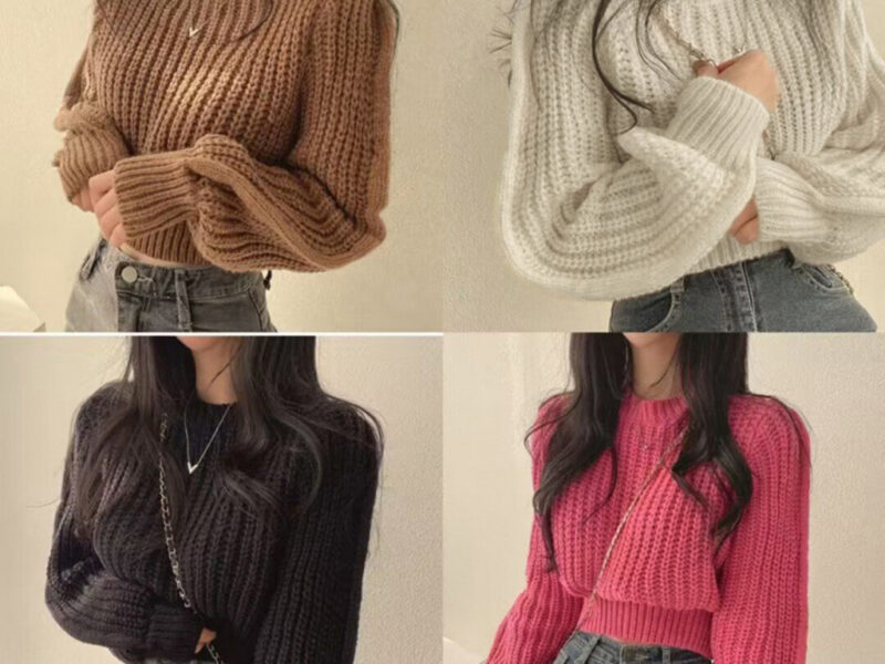 Lovito Suéter Casual Liso Básico Para Mulheres LNA40014