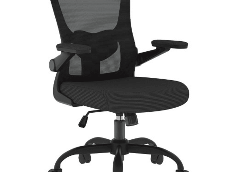 Cadeira de Escritório FlexiSpot OCB1-Lite, Ajustável, 3D, Mesh, Preta