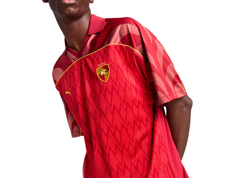 Camisa de Futebol Puma X Harry Potter Relaxed Masculina