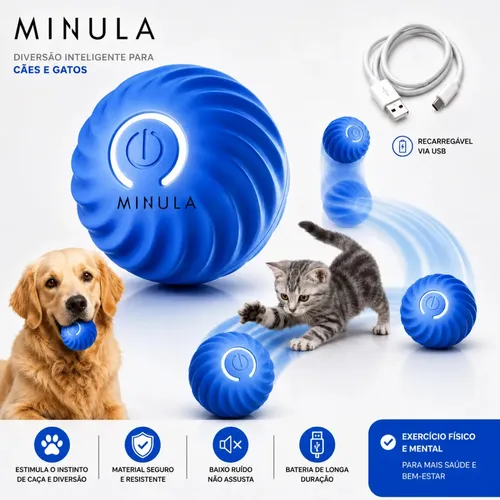 MINULA Bola Interativa Cães Recarregável Usb Brinquedo Cachorro Cão E Gato Bolinha –