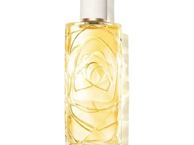 Perfume Ô De Lancôme O Zenith Edt 100 Ml