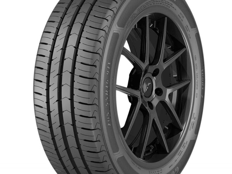 Pneu Goodyear Direction 2 Sport 205/55 Aro 16 91V