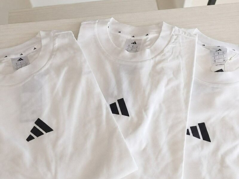 Camiseta Algodão Essentials Small Logo adidas