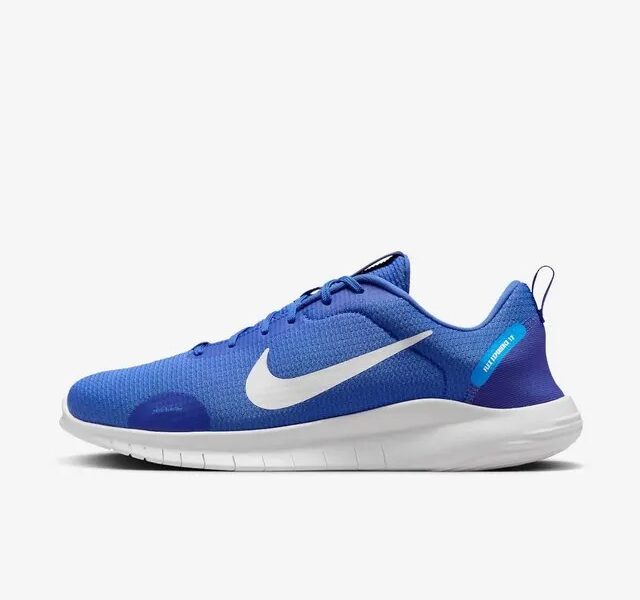 Tênis Nike Flex Experience Run 12 Masculino