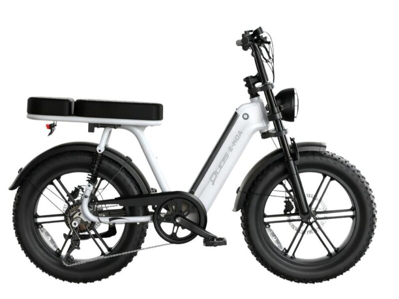 Bicicleta Elétrica Duos E-Koa 1000w Bateria De Lítio
