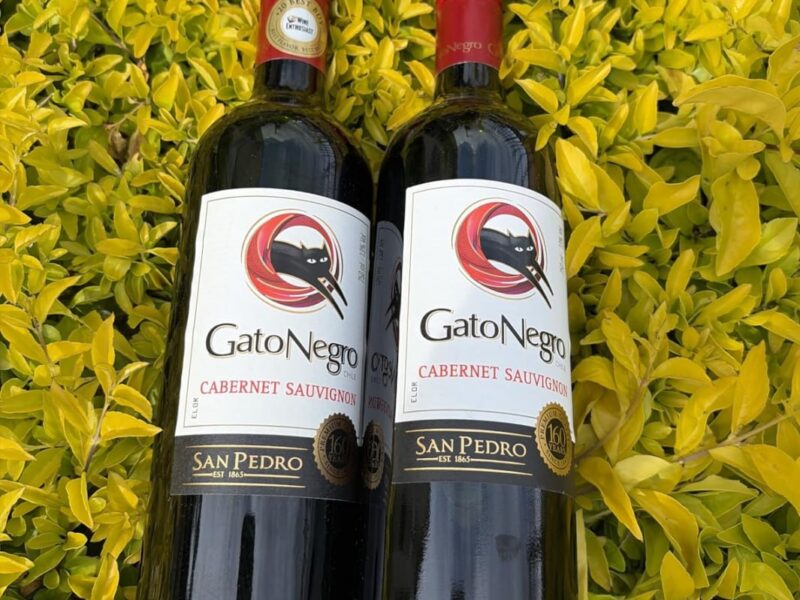 Gato Negro Vinho Cabernet Sauvignon 750 Ml