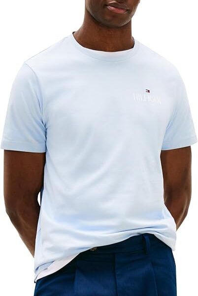 Tommy Hilfiger Camisetas masculinas estampadas de algodão de manga curta com logotipo bordado