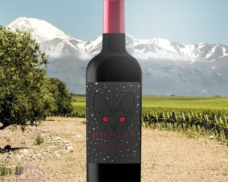Picarón Vinho Cabernet Sauvignon 750Ml