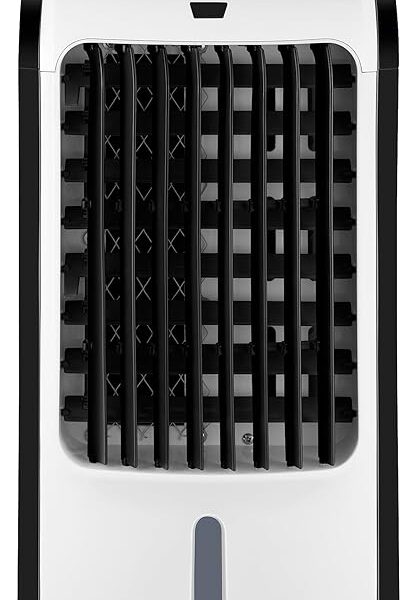 MONDIAL Climatizador Flash Air, Branco/Preto, 80W, 110V – CL-03
